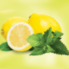adalya lemon mint 2 EAETT