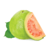 guava