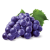 purple grape